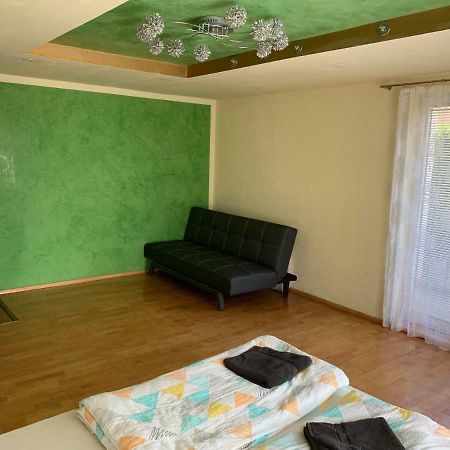 Nexi S Appartement An Der Enns 9 Радштадт Екстер'єр фото